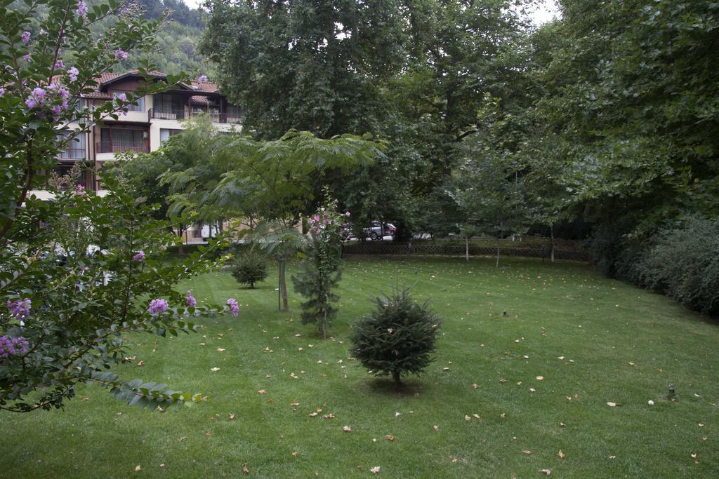 Family Hotel Delta Ognyanovo  Exterior foto